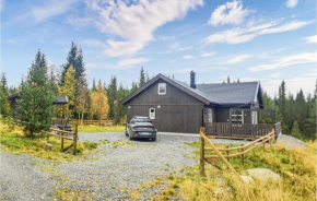 Nice Home In Hemsedal With Sauna